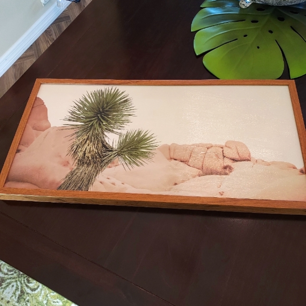 Desert Palm Picture/ Boulder Art. NWOT.